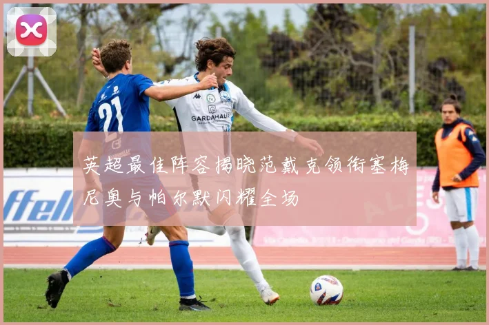 英超最佳阵容揭晓范戴克领衔塞梅尼奥与帕尔默闪耀全场