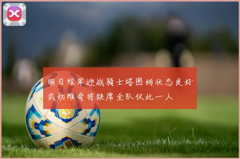 明日绿军迎战骑士塔图姆状态良好武切维奇将缺席全队仅此一人